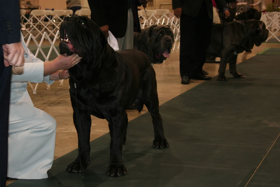 2010-Nationals-14