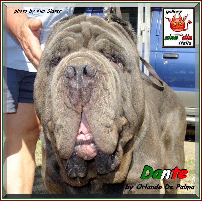Dante by Orlando Di Palma Italy,,, 482