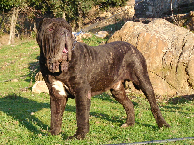 SANY0363