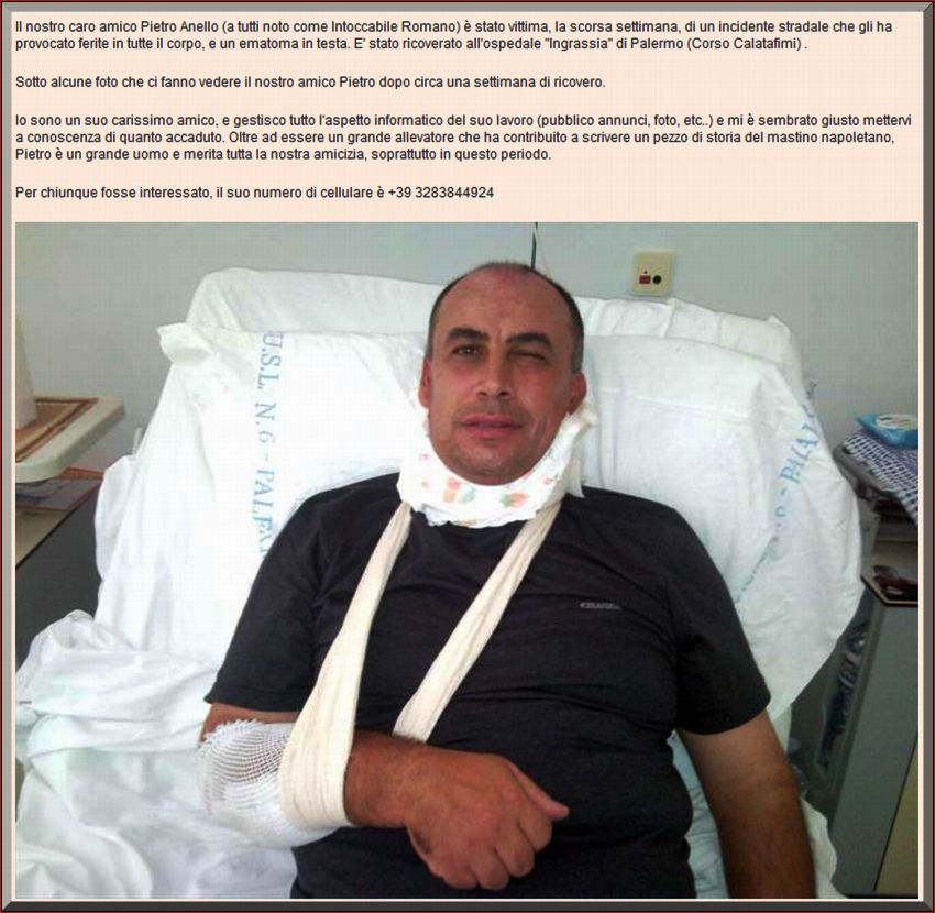 incidente anello