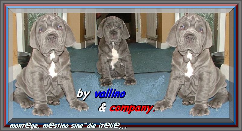 Vallino pappy