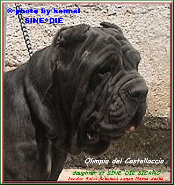 by SINE^DIE OLIMPIA del CASTELLACCIO 009