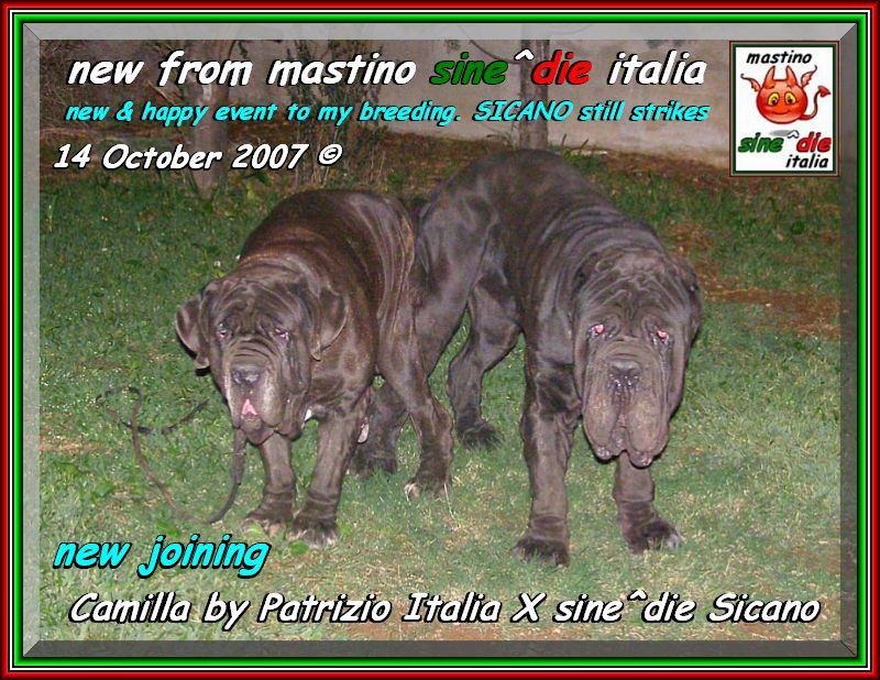 Camilla x Sicano,,, new joining 14 october 2007,,,