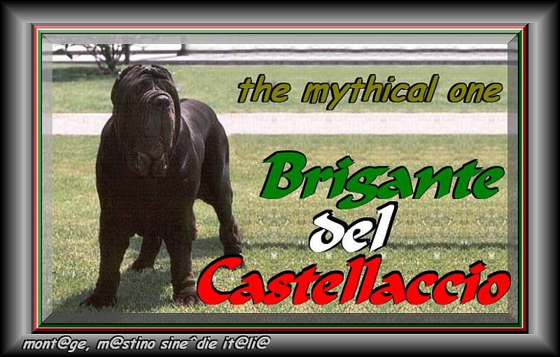Brigante del castellaccio x colosseo
