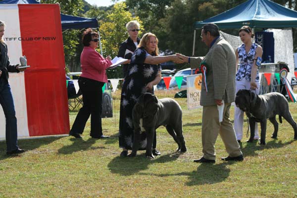 puppyMaleIMG_8672