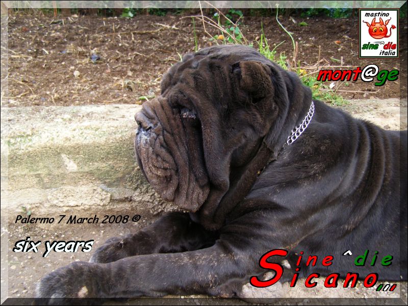 sine^die Sicano,,, six years,,, Palermo 7 March 2008