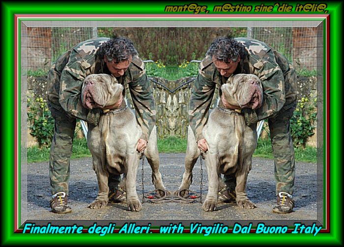 Finalmente degli alleri con Virgilio