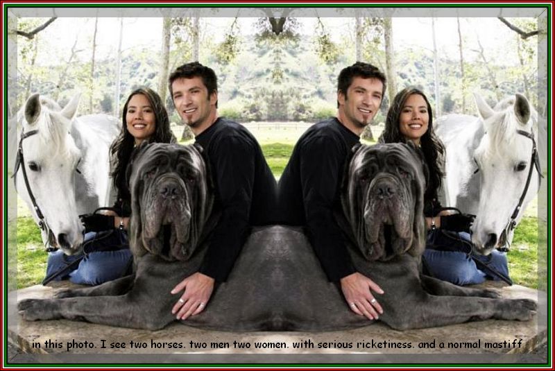 in this photo. I see two horses. two men two women. with serious ricketiness. and a normal mastiff