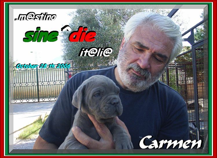 CARMEN daughter of sine^die Sicano