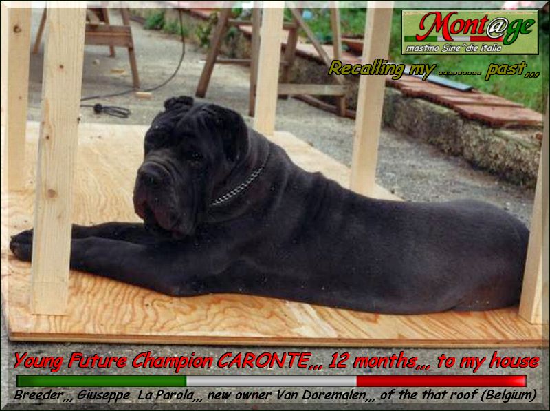 Caronte breeder Giuseppe La Parola