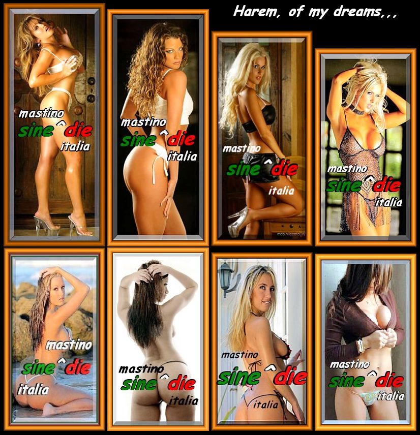 Harem, of my dreams,,,