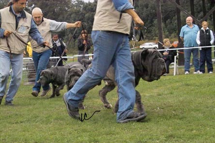 IMG04739