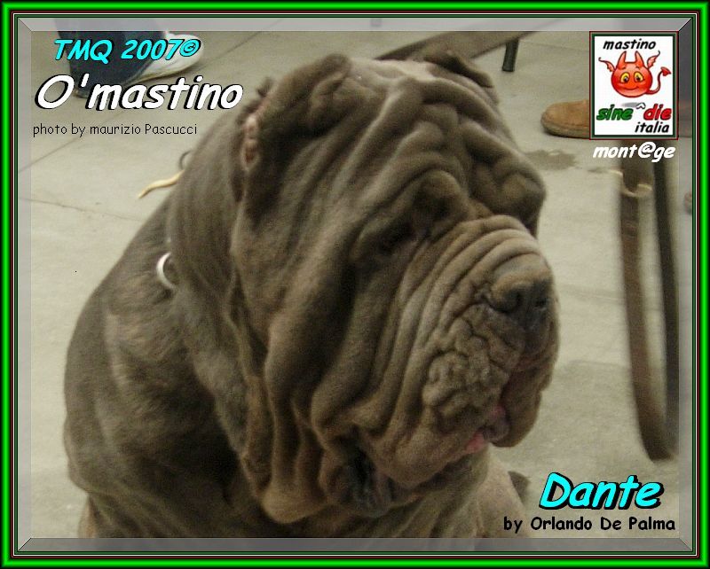 ATMQ 2007 Dante by Orlando De Palma,,,