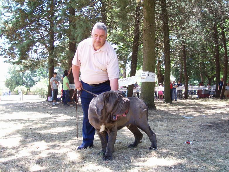 pasquale rusciano - bruno cac bob telese 3