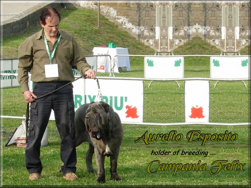 Aurelio Esposito,,,