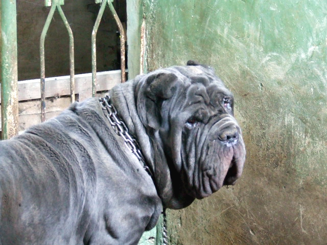2006_1004Abi0350