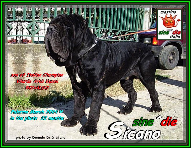 sine^die Sicano a 22 mesi Palermo Marzo 2004,,,