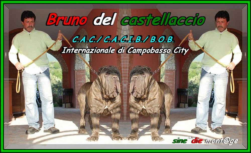 Bruno del Castellaccio,,, 1000