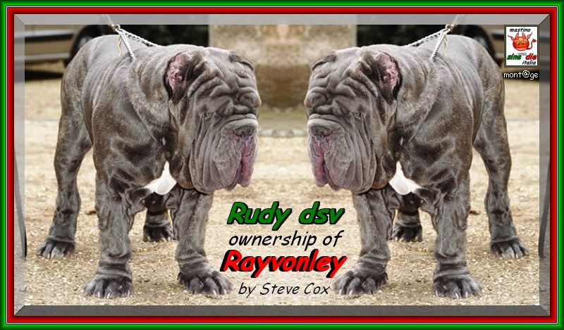 Rudy dello stradone alias Mattia,,, sine^die mont@ge,,, owner steve Cox,,, England