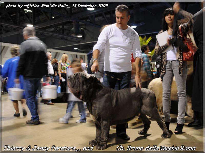 Expo Eukanuba California Ch. Bruno.