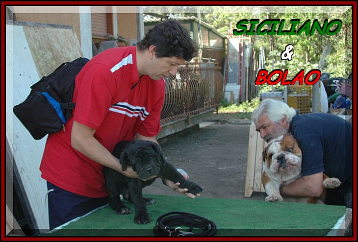 SICILIANO son of sine^die Sicano.... 0170