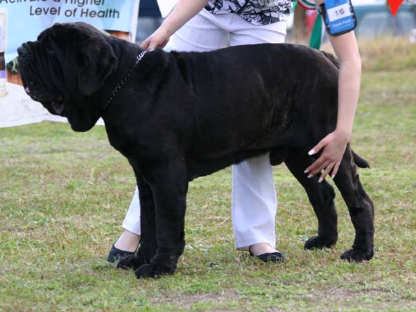 1exIntMaleIMG_7955