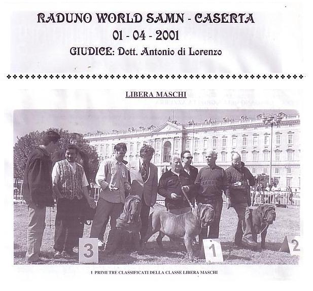 Expo Caserta 1