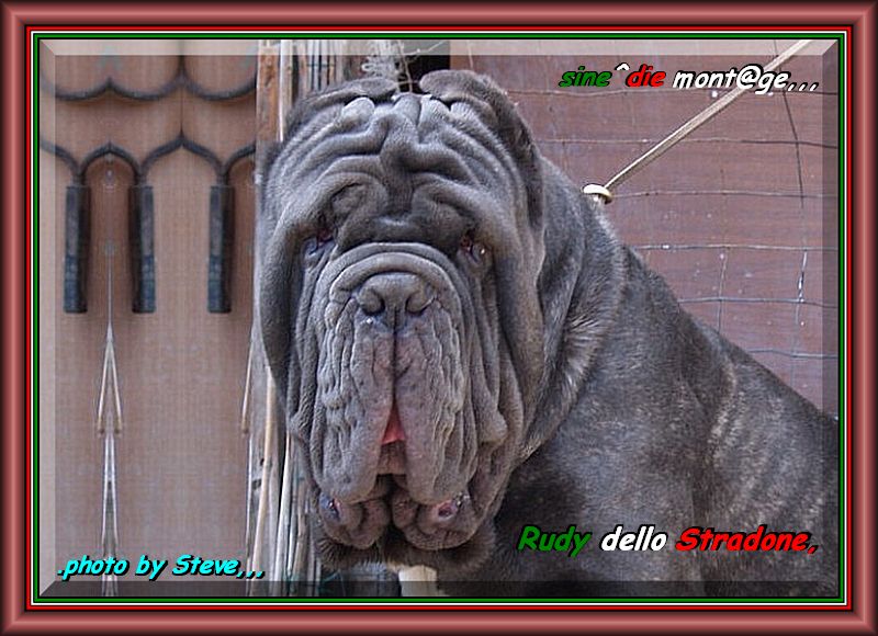 Rudy dello stradone alias Mattia,,, sine^die mont@ge,,,