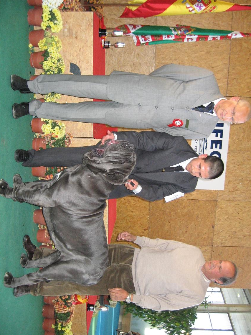 REMO EXPOS. INTER. JEREZ 2007