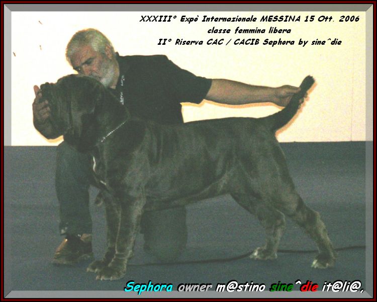 Sephora by sine^die II Res. CAC & CACIB ,