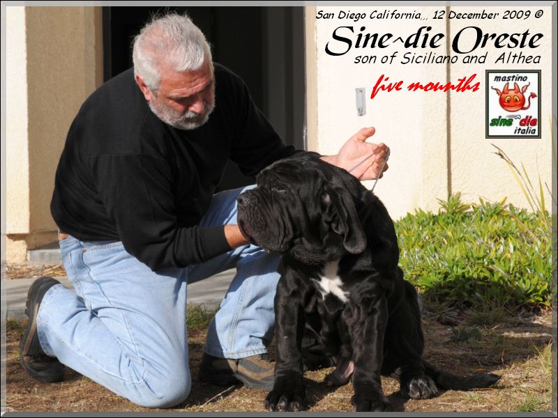 Sine^die Oreste 12 december 2009,,,