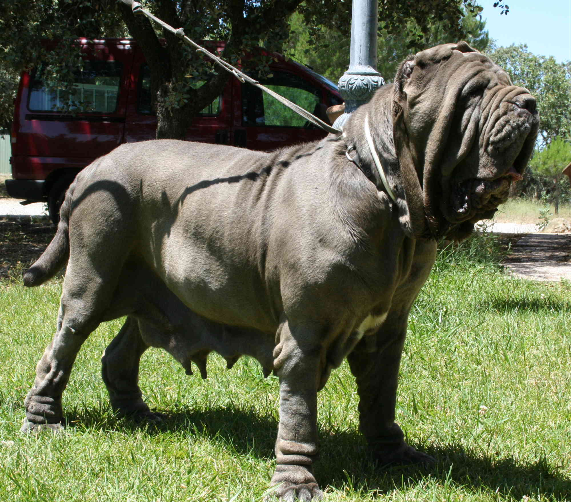 BEA CUERPO2