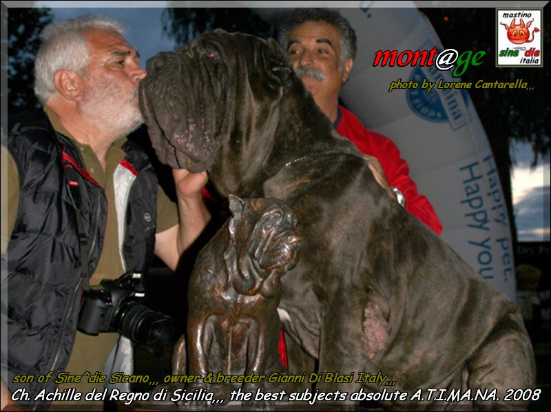 Achille World Champion A.T.I.MA.NA. 2008