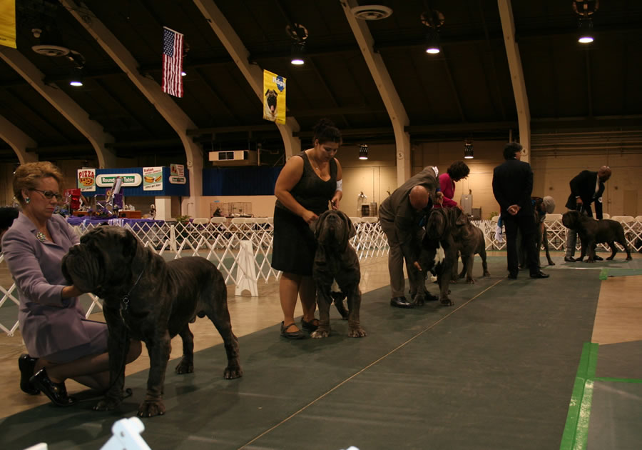 2010-Nationals-25