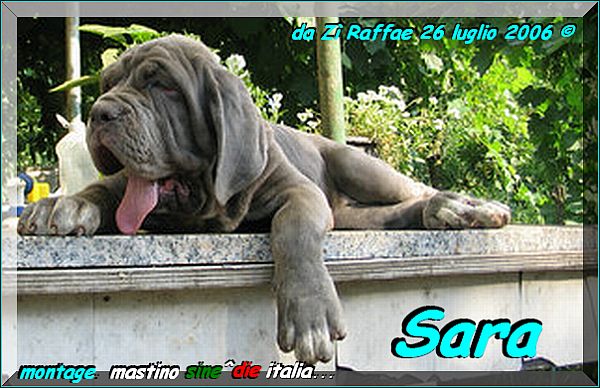 Sara by Giovanna Bianchi,,,, Napoli,,, Italy,,,