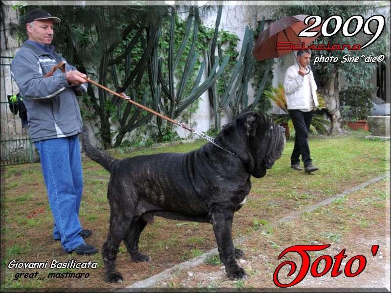 Scisciano 2009 ,,,,,