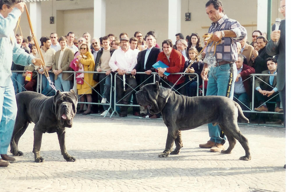 Peppino Iazzetta 2