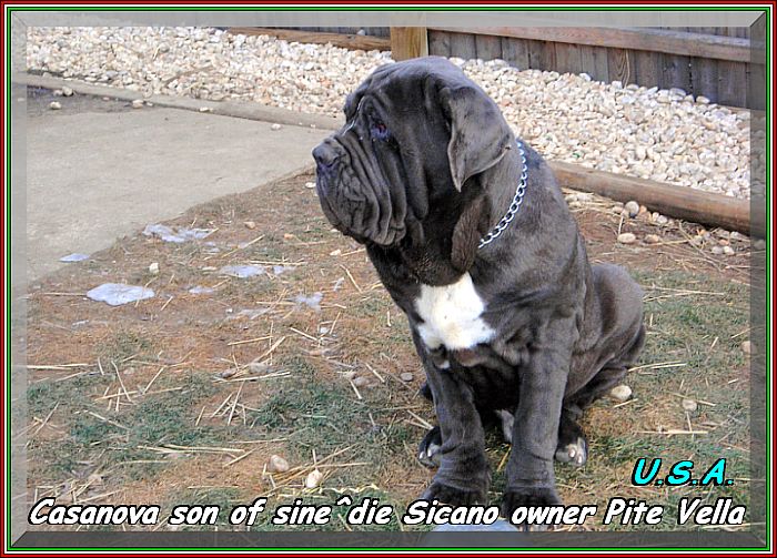 Casanova owner Pete Vella
