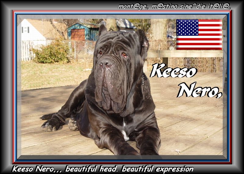 Keeso Nero