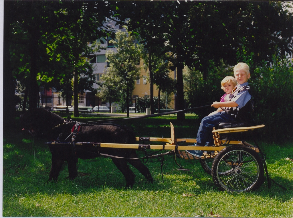 CARRETTO
