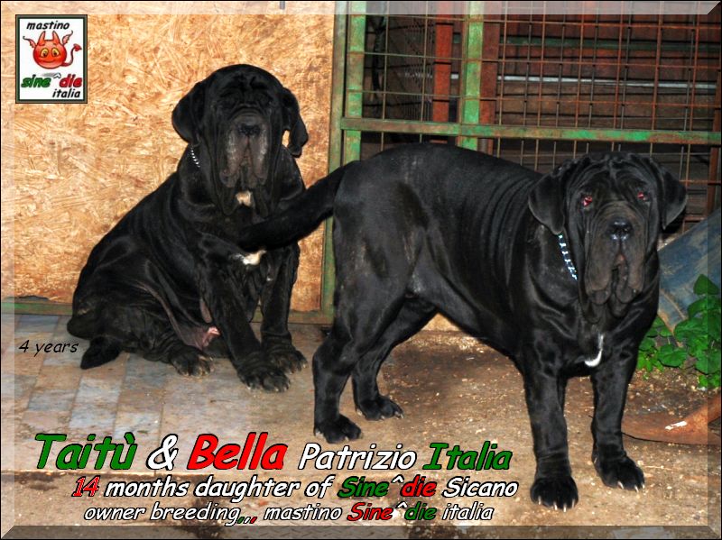 Bella & Taitu Patrizio Italia,,