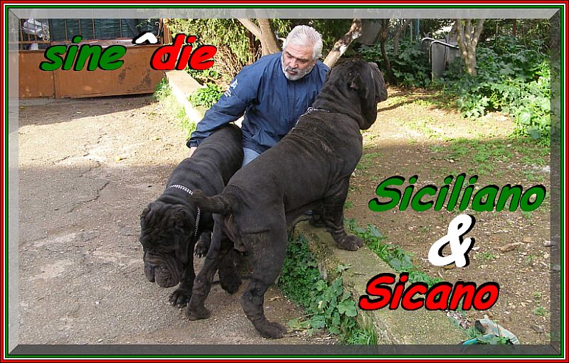 Siciliano & Sicano