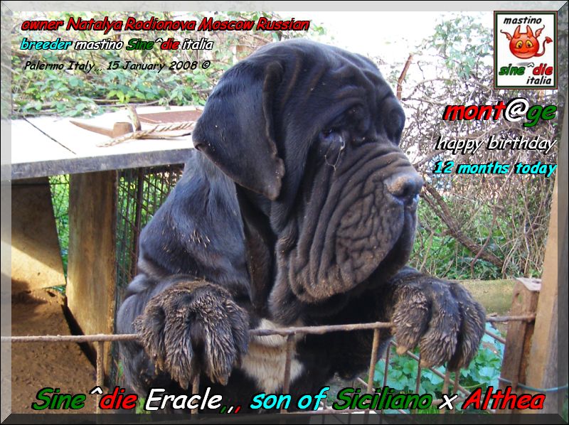Sine^die Eracle todays 12 months,,, happy birthday