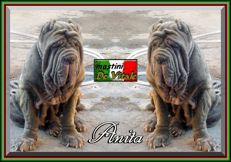 Anita mastini Patrizio De Vitale x0x