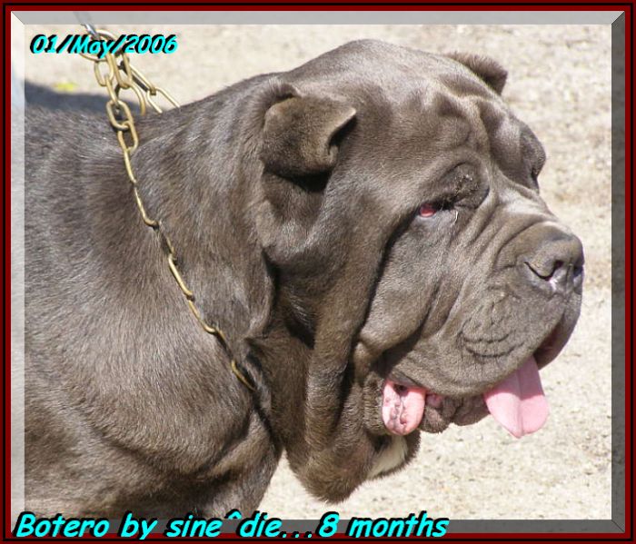 Botero by sine^die 01 may 2006 xo