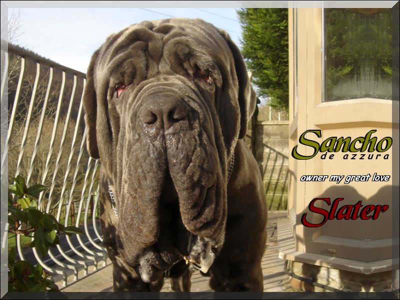 Sancho De Azzurra by Kim Slater