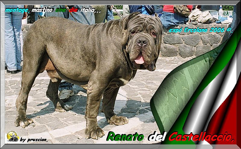 Renato del Castellaccio,,,,