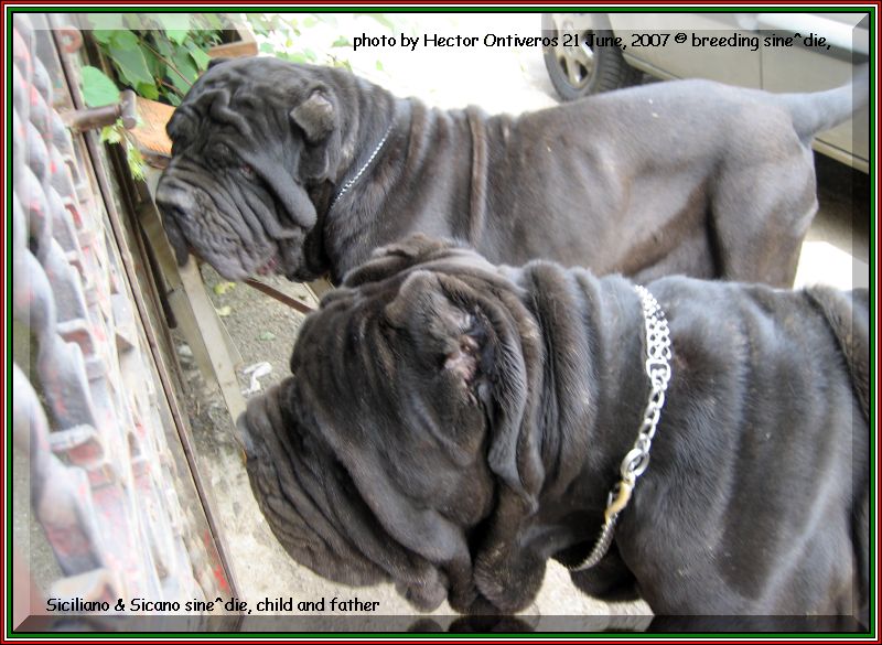Hector potho 073