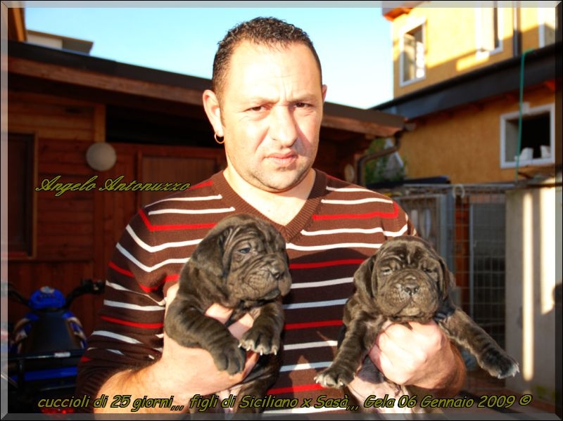 puppy Sine^die by Siciliano,,, 06 gen. 2009,,,,,