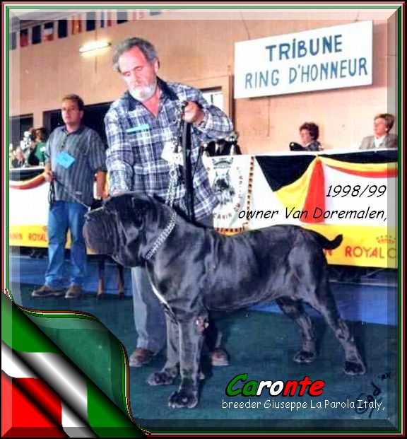 Caronte breeder Giuseppe La Parola Italy,,,, owner Van Doremalen  ,,,,